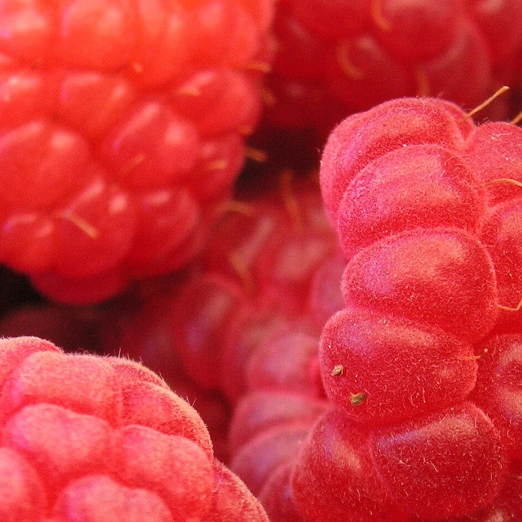 Масло семян малины